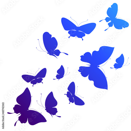 butterflies design