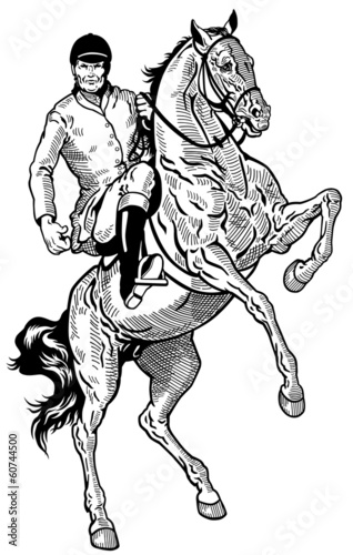 horse rider black white