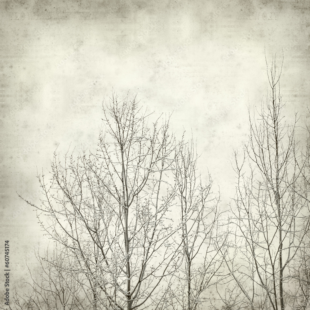 textured old paper background textured old paper background