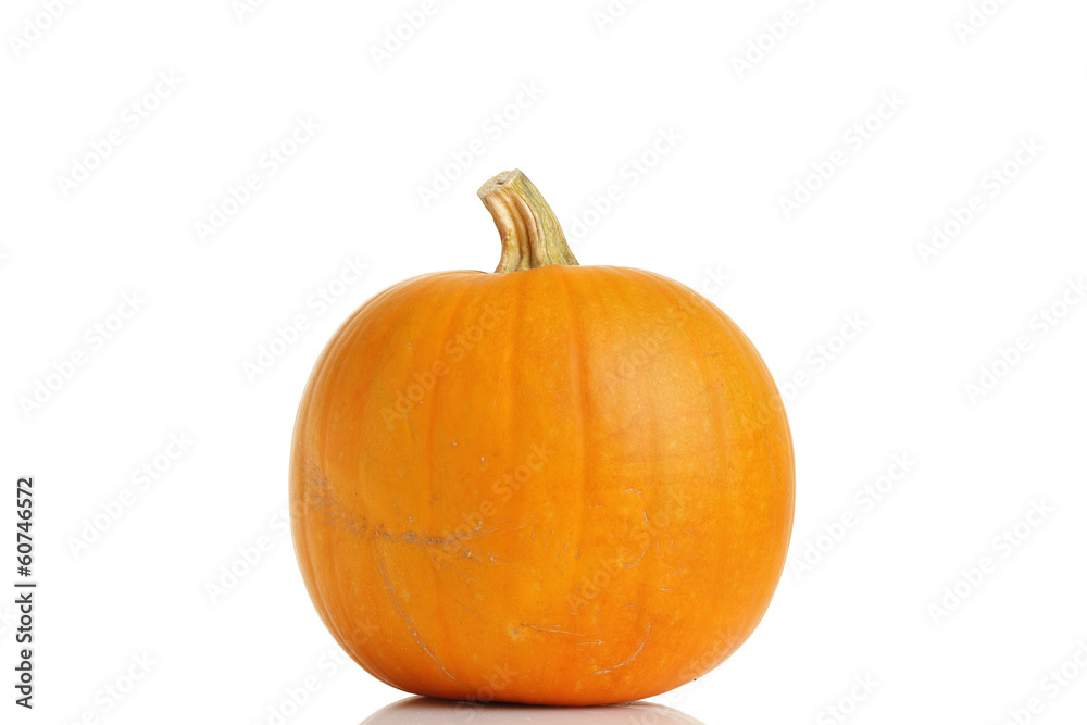 Big yellow pumpkin on white background Big yellow pumpkin on white background