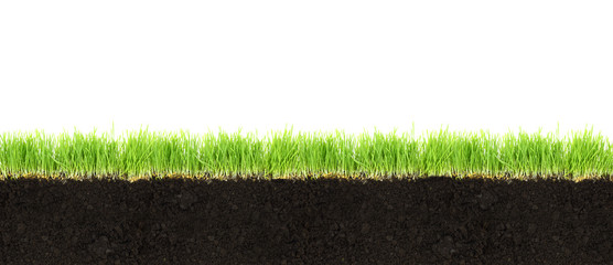 Cross-section of soil and grass isolated on white background