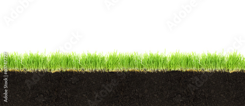 Cross-section of soil and grass isolated on white background
