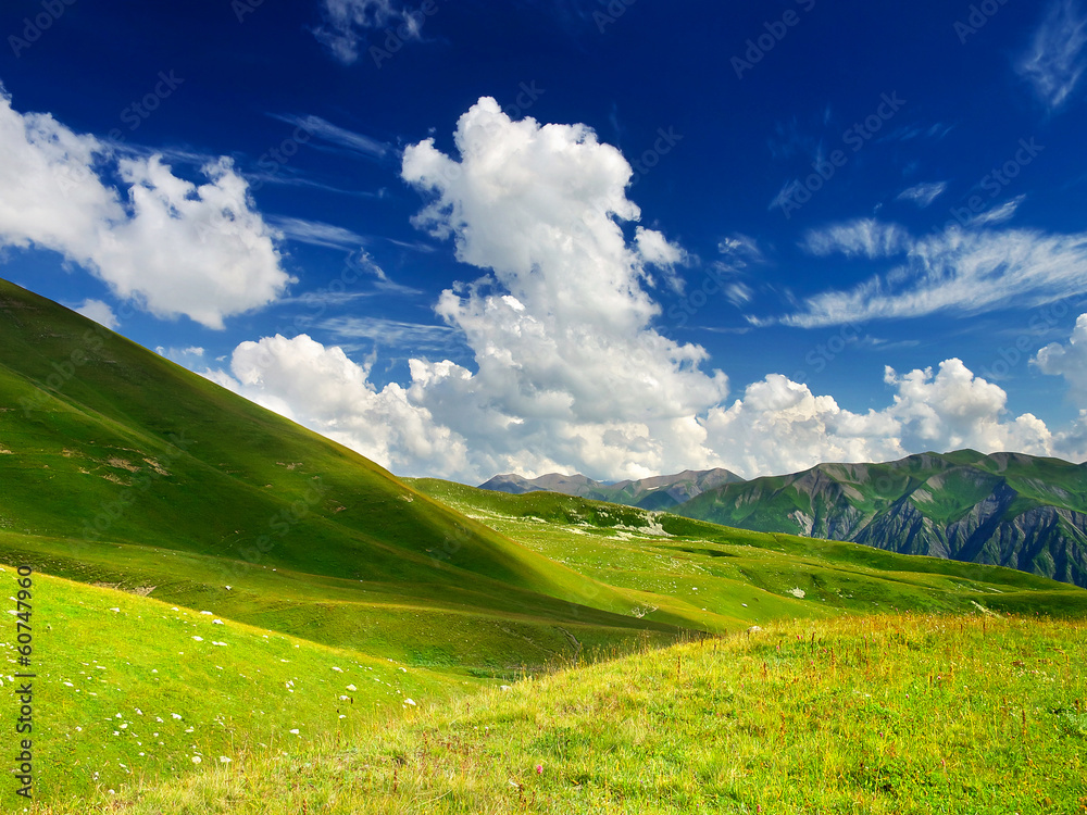Obraz premium Field and cloudy sky. Natural summer landscape