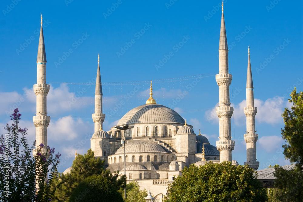 Naklejka premium Blue Mosque