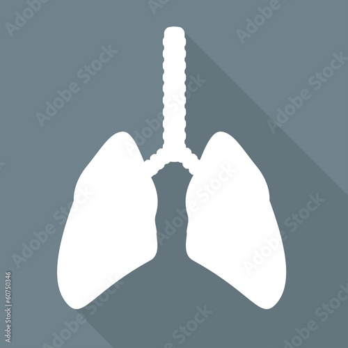 Human lung icon. Medical background. Health care