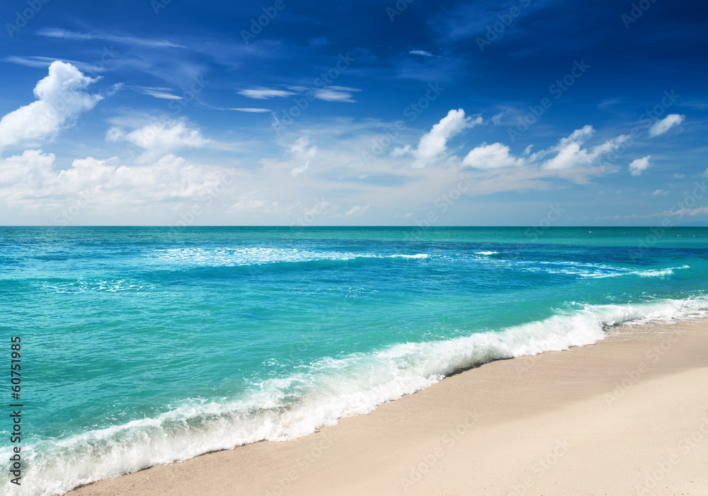 Fototapeta premium Beautiful tropical sea and blue sky