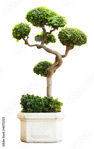 Ornamental decorative tree