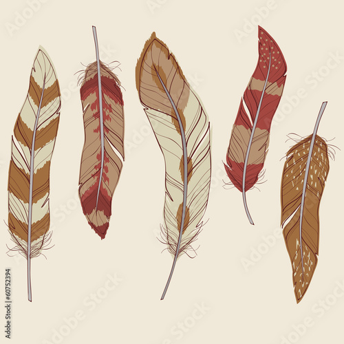 Vector colorful set of different feathers