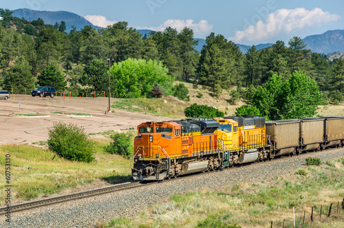 Goods Train