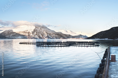 Fish farms in northern Norway