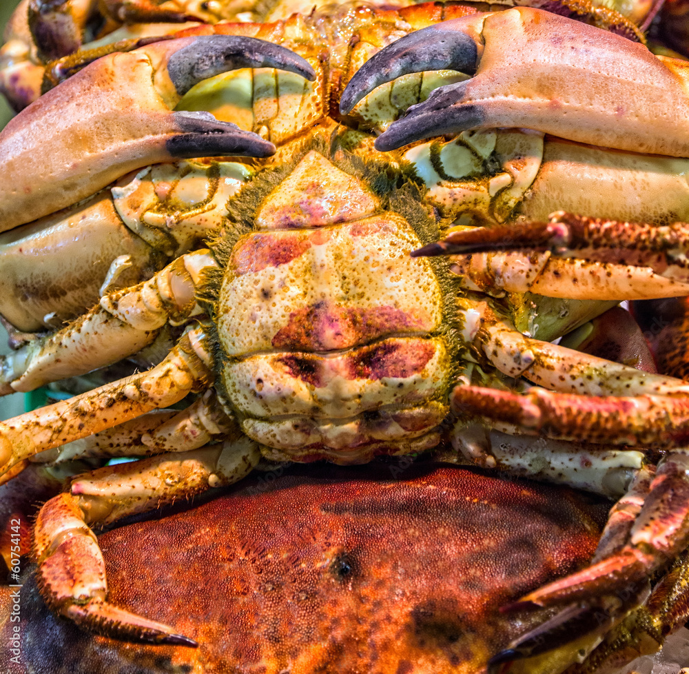 crabs in fish market Wuhan corona virus seafood market pneumonia virus COVID 19 crabs in fish market Wuhan corona virus seafood market pneumonia virus COVID 19