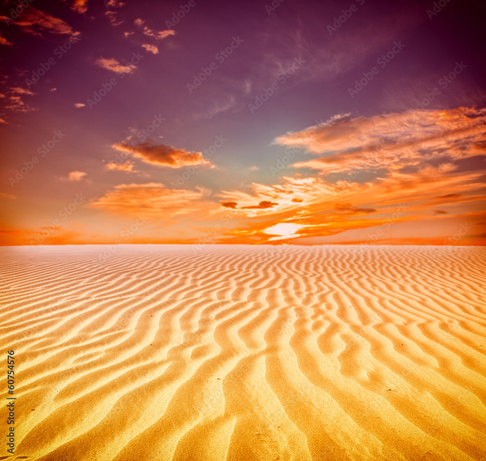 Sand dunes at sunset in the Sahara Desert - obrazy, fototapety, plakaty 