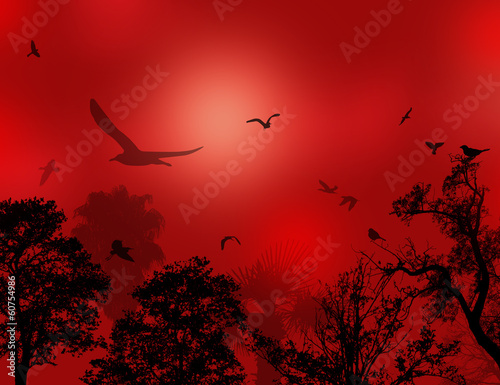 Silhouettes of flying birds