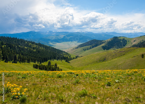 Mountain and Valley View from the Natl Bison Refuge MT USA