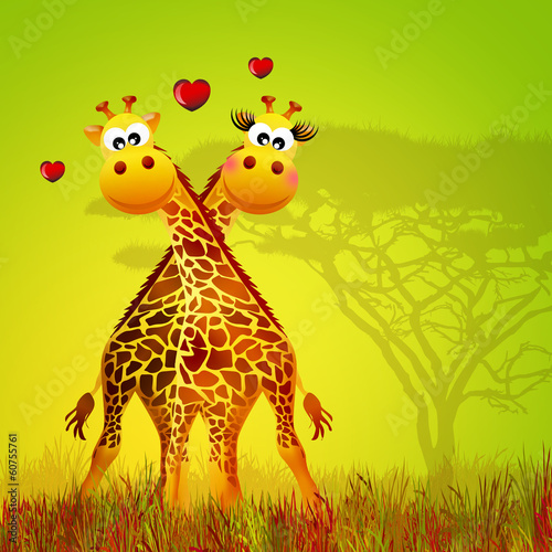 Fototapeta Naklejka Na Ścianę i Meble -  Giraffe in love