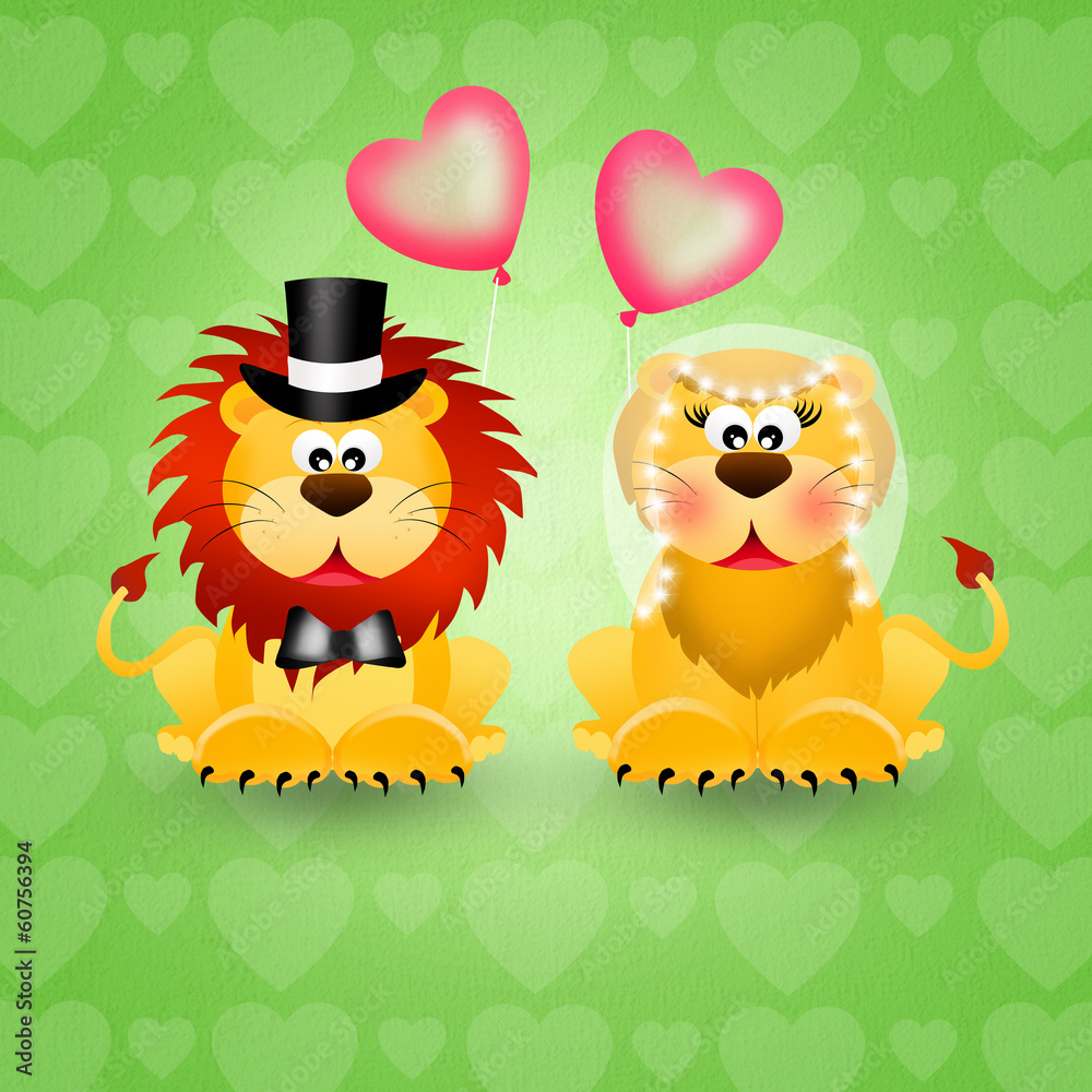 lions couple lions couple