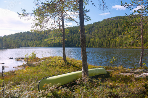 Telemark, Waldlandschaft bei Notodden, Eksjo photo