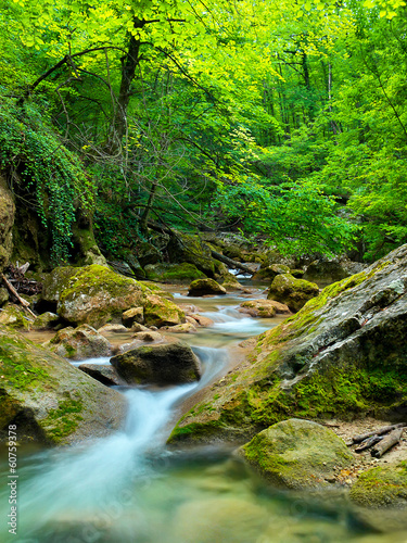 River in the summer canyon.