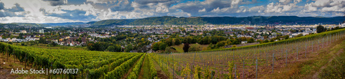 Panorama of Trier  Germany