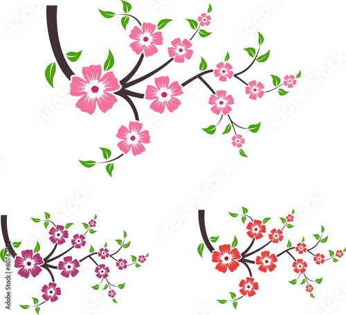 Wallpaper Mural Branches of sakura. Set of vector illustration. Torontodigital.ca