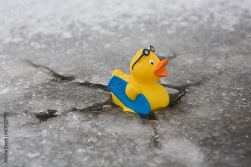 Eisbrecher-Ente photo