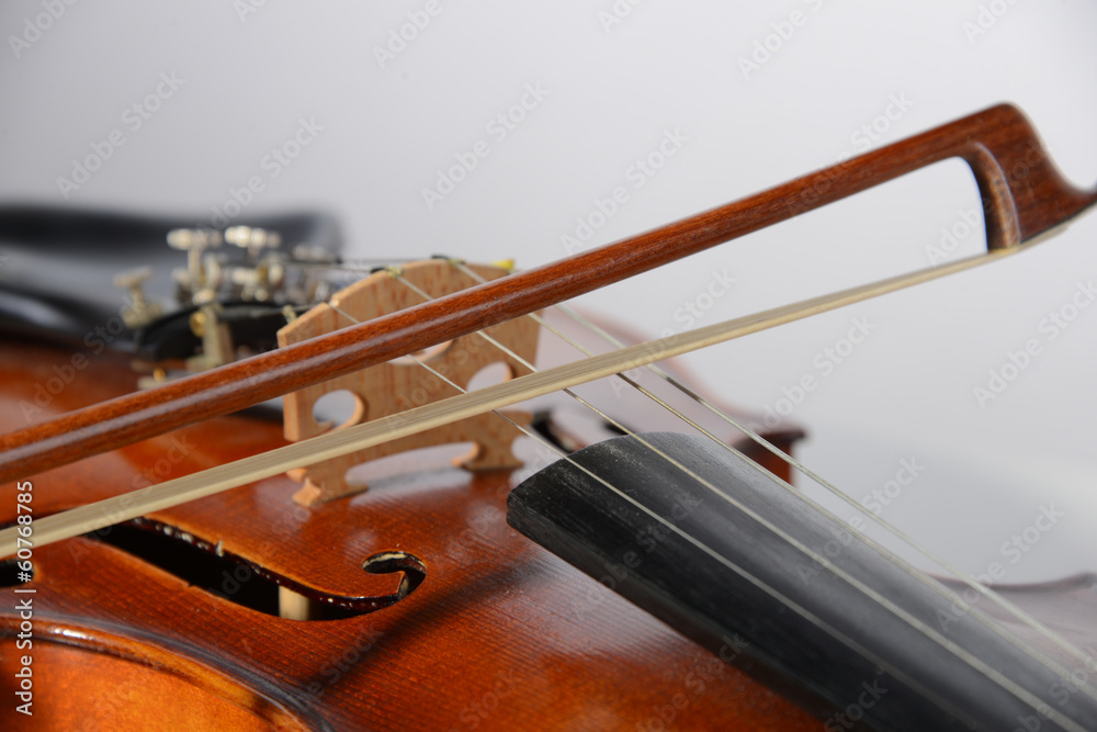 Fototapeta premium Violine