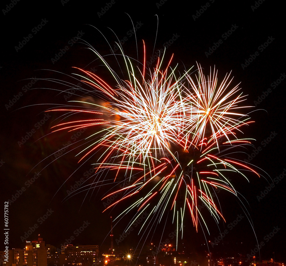 Fireworks Against the Night Sky of a Cityscape Fireworks Against the Night Sky of a Cityscape