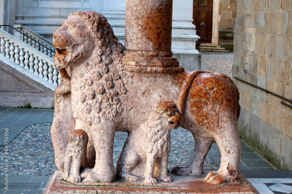lion column of Colleoni chapel in Bergamo