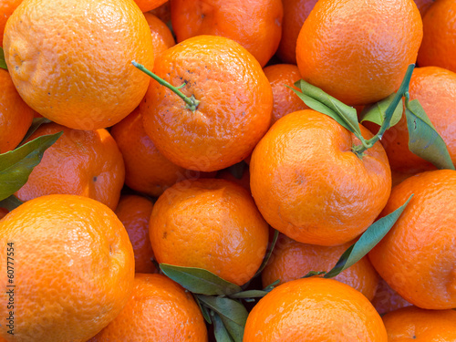 Mandarini (Citrus reticulata)