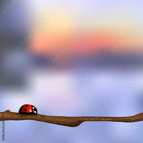 Vector background with ladybird