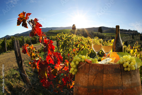 White wine with barell in vineyard, Chianti, Tuscany, Italy