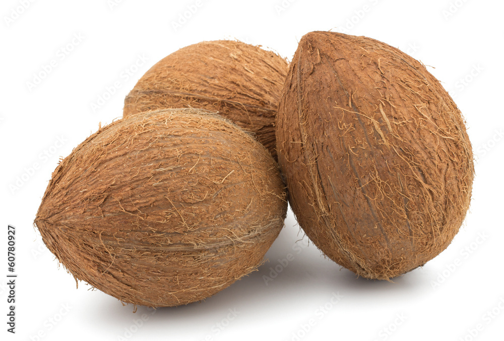 Coconuts isolated on white background Coconuts isolated on white background