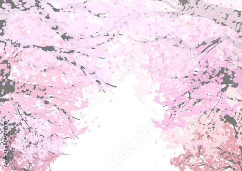 桜のトンネル