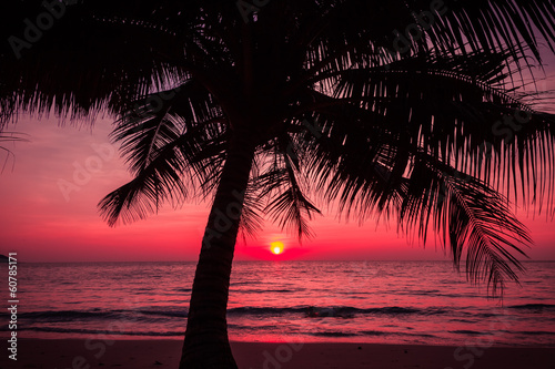 palm trees silhouette on sunset tropical beach. Tropical sunset © EwaStudio