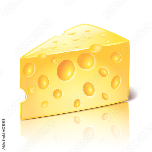Cheese isolated on white vector