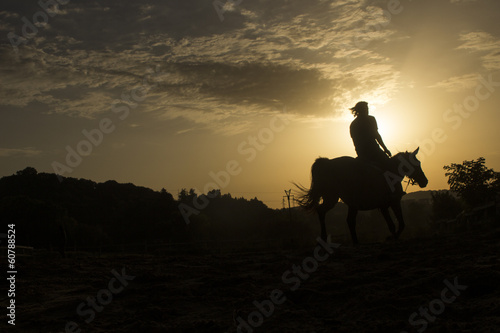 Horse riding silhouette