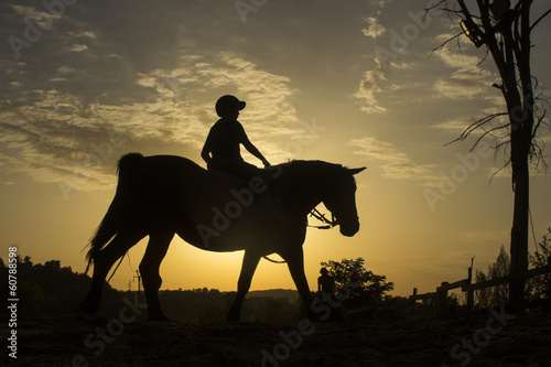 Horse riding silhouette