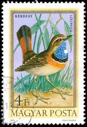 HUNGARY - CIRCA 1973: Postage stamp printed in Hungary showing B