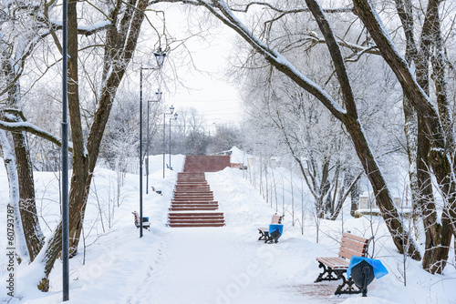 Canvas Print winter promenade for walking with a bench and a lantern