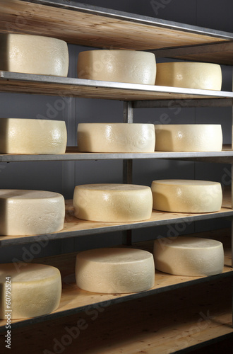 maturing cheese storehouse