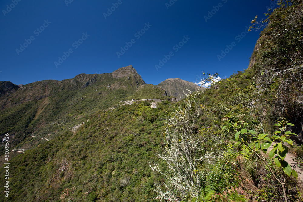 Machu pichu Inca