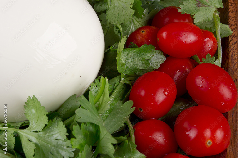 Mozzarella cheese Mozzarella cheese