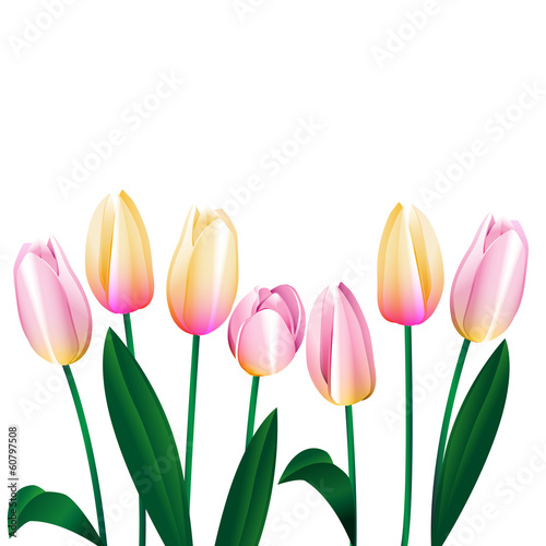 Fototapeta Naklejka Na Ścianę i Meble -  pink tulips 1