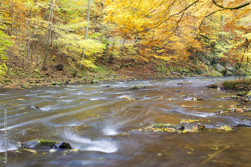 Fototapeta premium Metuje river in autumn, Czech Republic