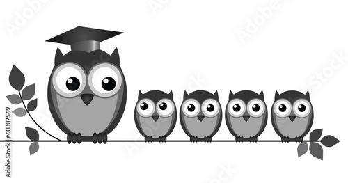 Owl teacher and pupils on branch