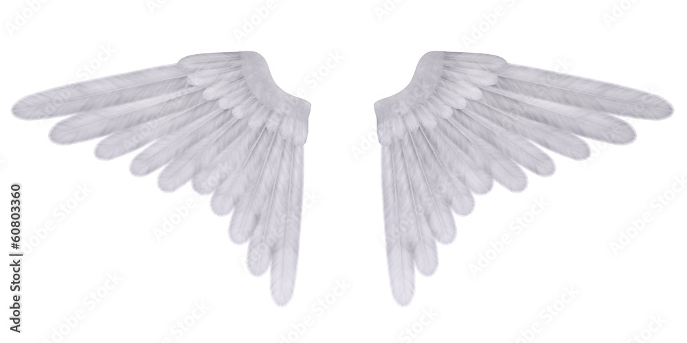 Obraz premium Angel's wings isolated on the white background