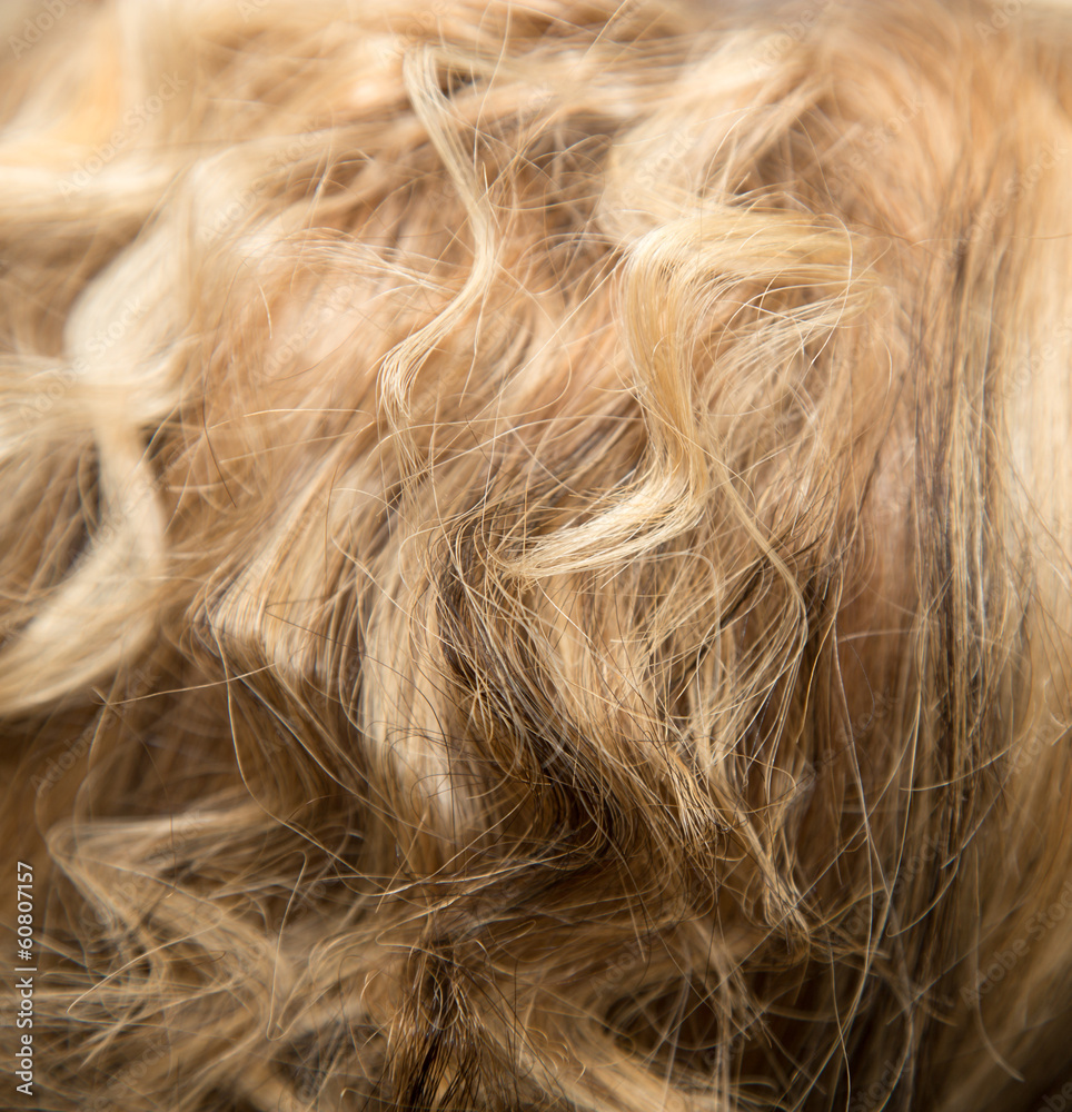 Fototapeta premium background of women's hair
