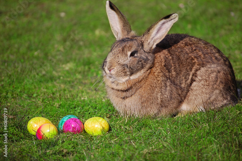 Osterhase mit eiern