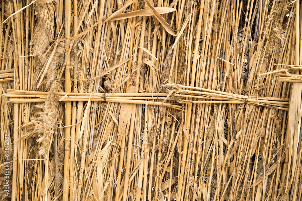 front view of cane dry, as a background