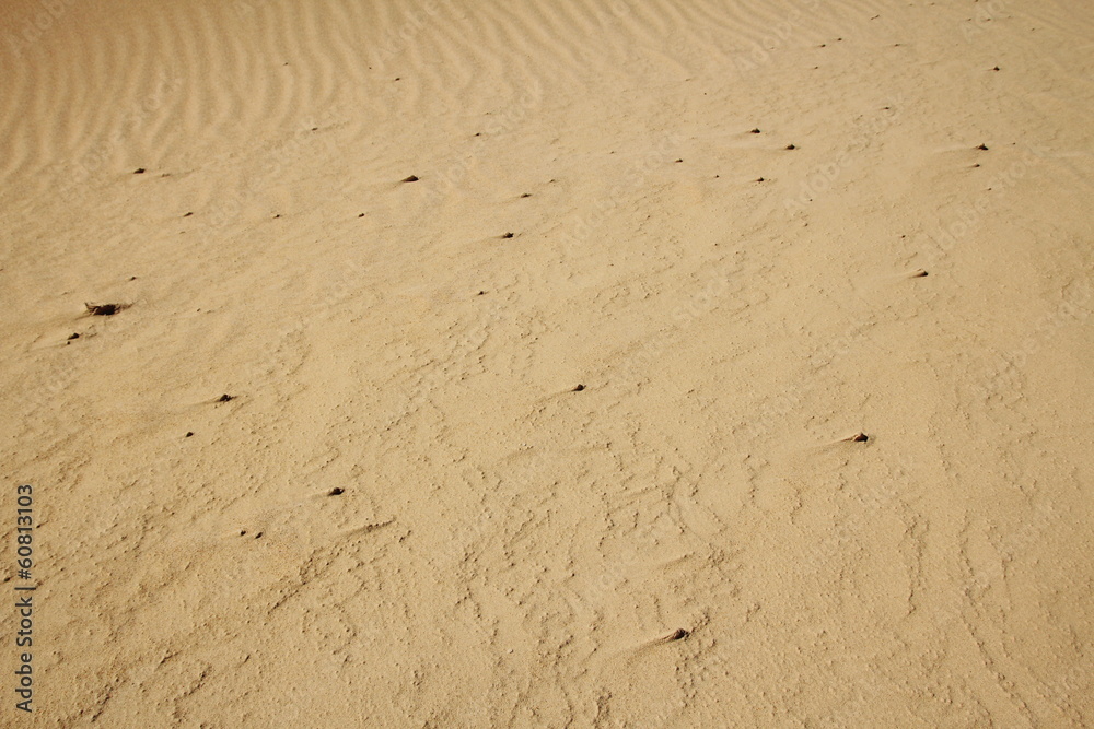 Australian desert Australian desert